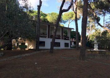 Foto 84 - Villa Via delle Eriche, Livorno - foto 82