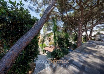 Giardino - Villa via San Simone, Sannicola - photo 43