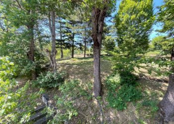 Terreno - Villa Frazione Caldirola, Fabbrica Curone - photo 28