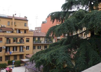 Vista - Trilocale via Mascarella, Bologna (zona Irnerio) - foto 3