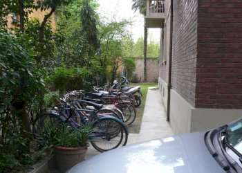 Giardino - Trilocale via Mascarella, Bologna (zona Irnerio) - foto 21