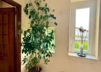 Cortile interno - Villa via Biella, 60, Candelo - foto 21