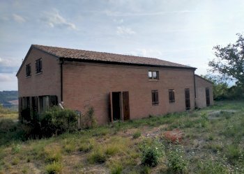 12 DI LEO IMMOBILIARE VENDE  CASOLARE DA RISTRUTTU - Casa indipendente Monterubbiano - foto 10
