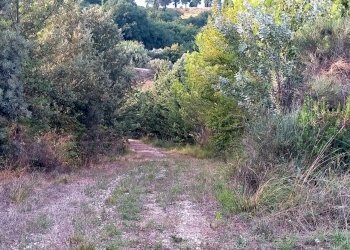 13 DI LEO IMMOBILIARE VENDE  CASOLARE DA RISTRUTTU - Casa indipendente Monterubbiano - foto 11