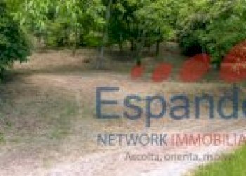 Rustic Grizzana Morandi - photo 49