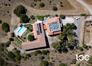 Farm Budoni - photo 2