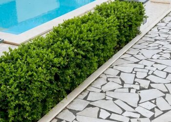 Villa Agnone, Augusta - foto 7
