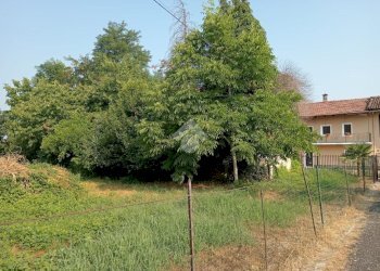 Casa indipendente Frazione S. Luca, Villafranca Piemonte - foto 18