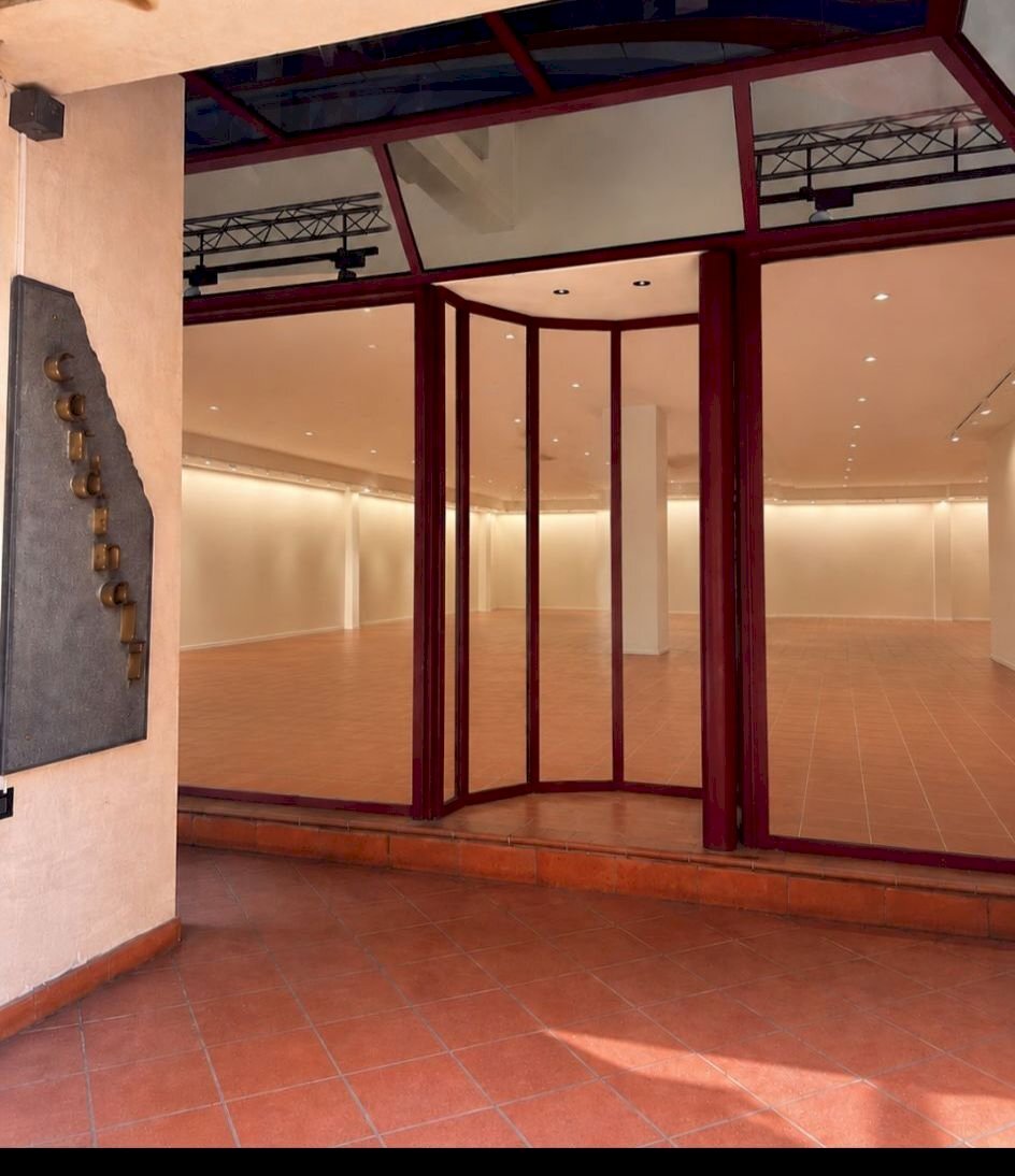 Commercial Premises Imola - photo 1