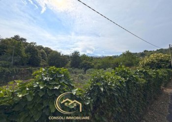 Building land Santa Venerina - photo 4