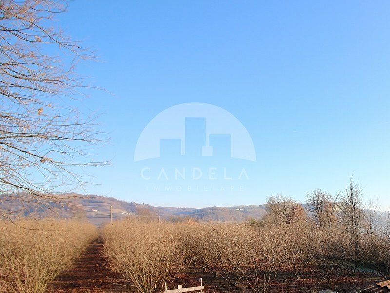 Terreno agricolo Mondovì - foto 2
