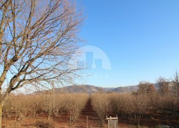 Terreno agricolo Mondovì - foto 1