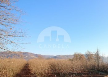 Terreno agricolo Mondovì - foto 2