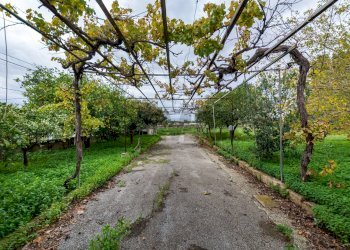 Giardino - Building land via Milo
2, Erice - photo 14