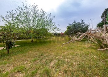 Giardino - Building land via Milo
2, Erice - photo 18