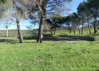 Giardino - Villa Contrada Saie
 
snc, Mineo - photo 44