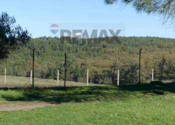 Vista delle montagne - Villa Contrada Saie
 
snc, Mineo - photo 49
