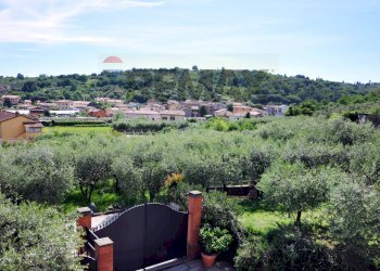 Vista delle montagne - Agricultural land Via Panoramica
13-15, Pescia - photo 23