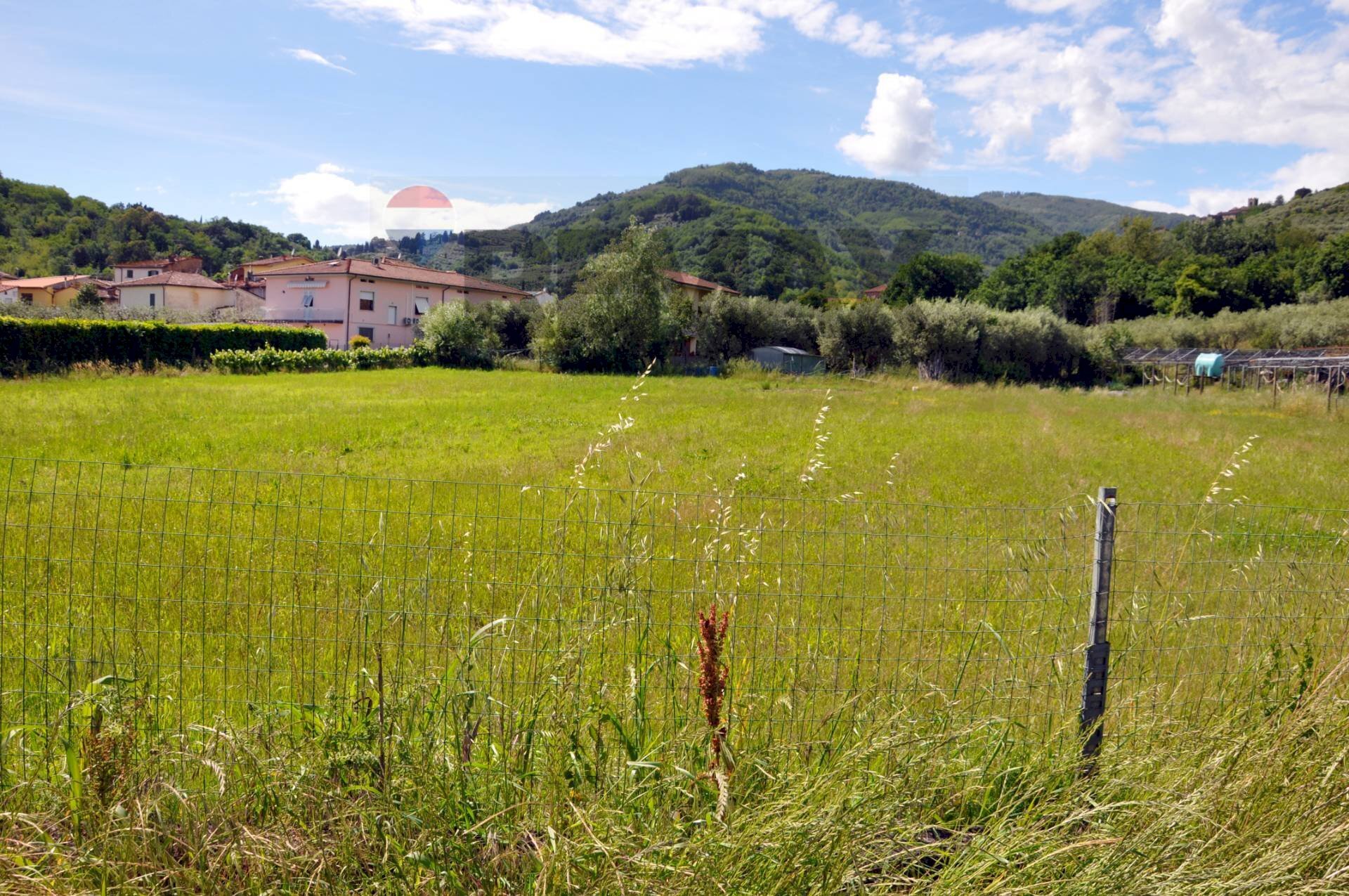 Vista delle montagne - Terreno agricolo Via Panoramica
 
13-15, Pescia - foto 1