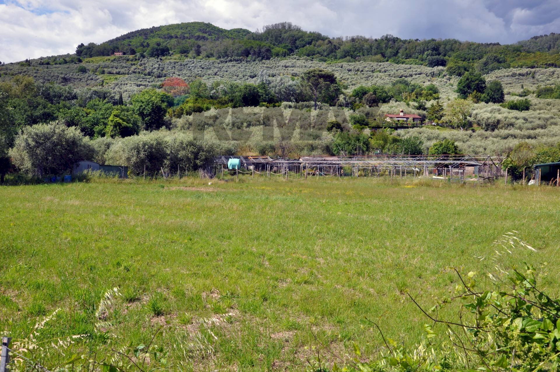 Vista delle montagne - Terreno agricolo Via Panoramica
13-15, Pescia - foto 3