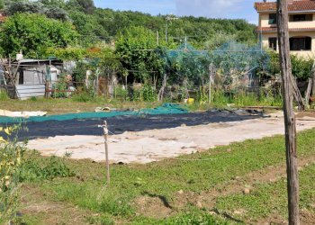 Piscina - Agricultural land Via Panoramica
13-15, Pescia - photo 19