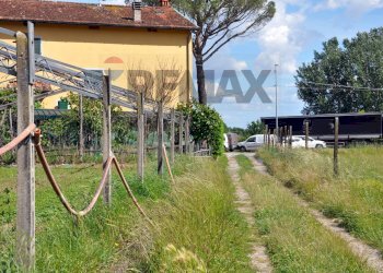 Giardino - Agricultural land Via Panoramica
13-15, Pescia - photo 20