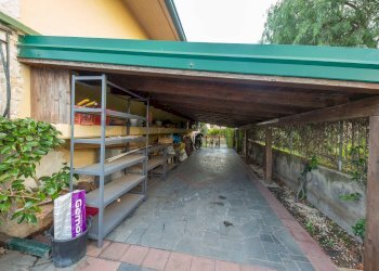Dispensa di stoccaggio - Villa Via Giovanni Gentile
 
29, Tremestieri Etneo - photo 36