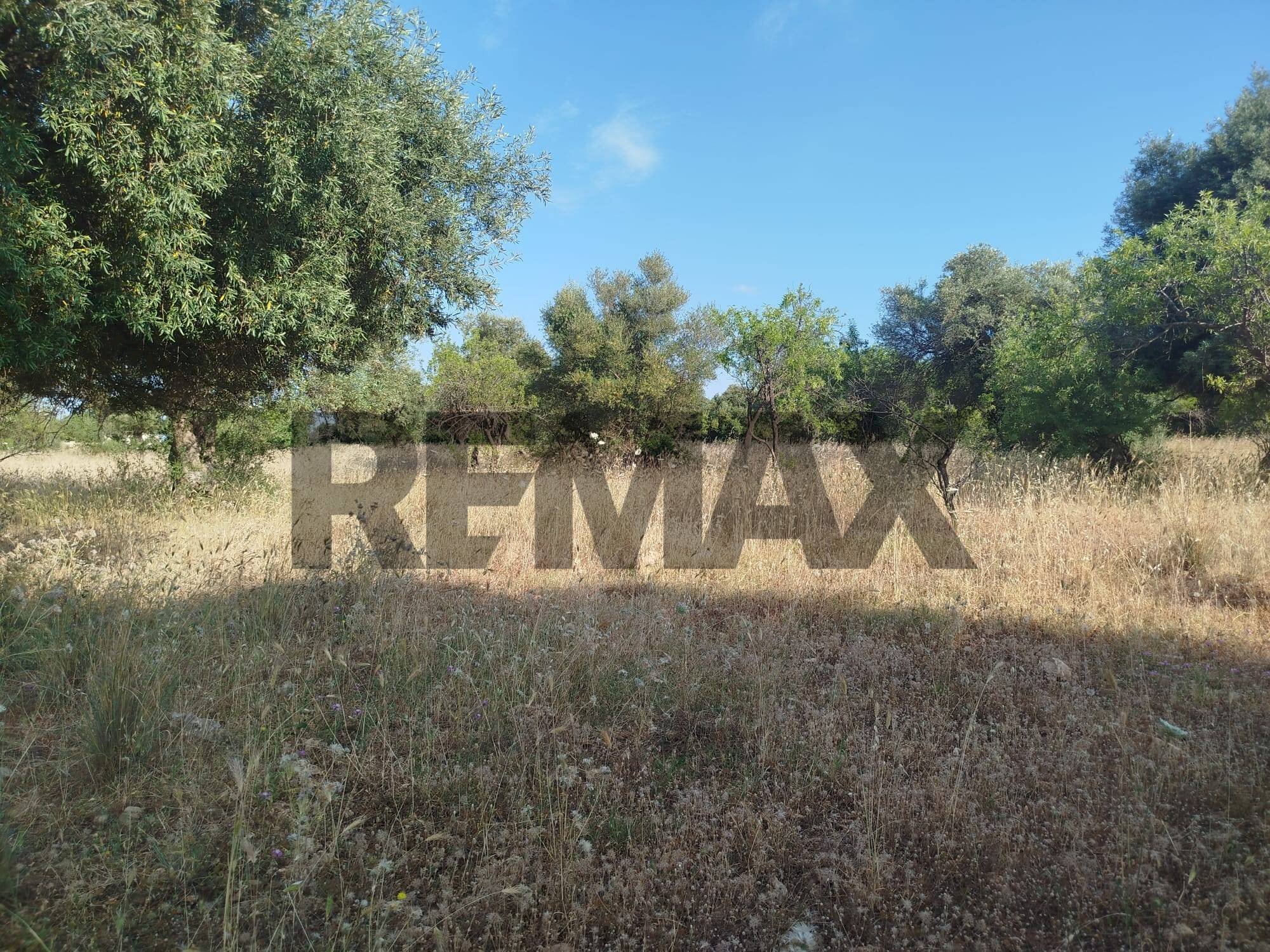 Giardino - Terreno agricolo contrada chiusazza
sn, Canicattini Bagni - foto 2