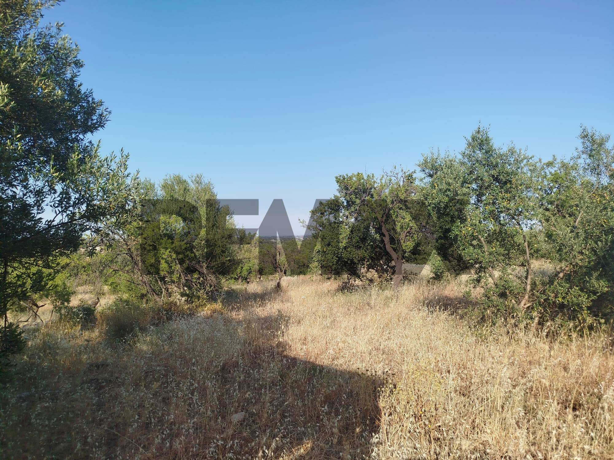 Giardino - Terreno agricolo contrada chiusazza
sn, Canicattini Bagni - foto 3