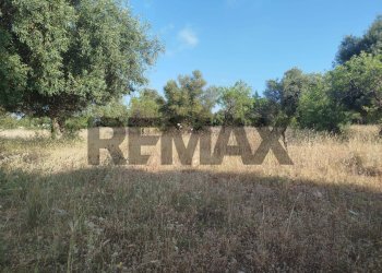 Giardino - Terreno agricolo contrada chiusazza
 
sn, Canicattini Bagni - foto 2
