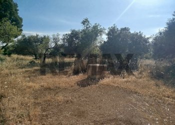 Giardino - Terreno agricolo contrada chiusazza
 
sn, Canicattini Bagni - foto 4