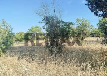 Non correlato - Terreno agricolo contrada chiusazza
 
sn, Canicattini Bagni - foto 6
