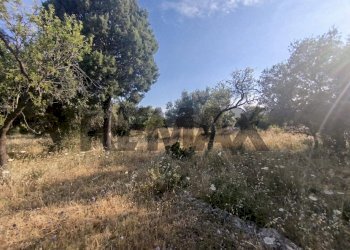 Giardino - Terreno agricolo contrada chiusazza
 
sn, Canicattini Bagni - foto 7