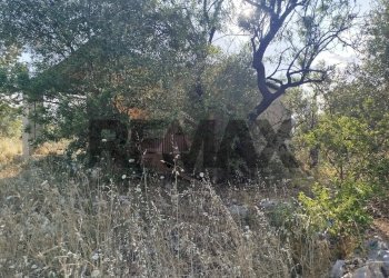 Non correlato - Terreno agricolo contrada chiusazza
 
sn, Canicattini Bagni - foto 10