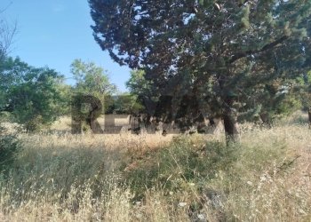 Giardino - Terreno agricolo contrada chiusazza
 
sn, Canicattini Bagni - foto 11