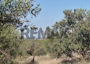 Vista delle montagne - Terreno agricolo contrada chiusazza
 
sn, Canicattini Bagni - foto 12
