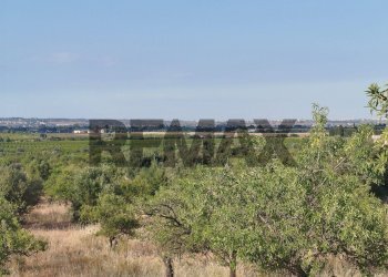 Edificio all\'aperto - Terreno agricolo contrada chiusazza
 
sn, Canicattini Bagni - foto 15