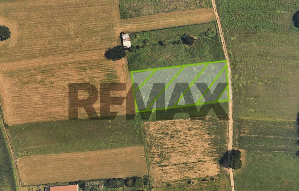 Posizione della mappa - Agricultural land via rovigo, Cairate - floor plans 1