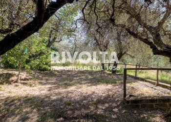 Foto 38 - Villa Via San Vito, Casperia - foto 38