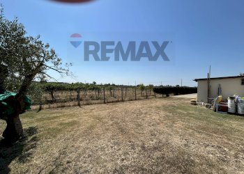 Giardino - Semi-detached house via retarola
 
99-101, Velletri - photo 98