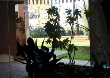Interno palazzo - Bilocale via Milziade Tirandi, 2-4, Brescia - foto 40
