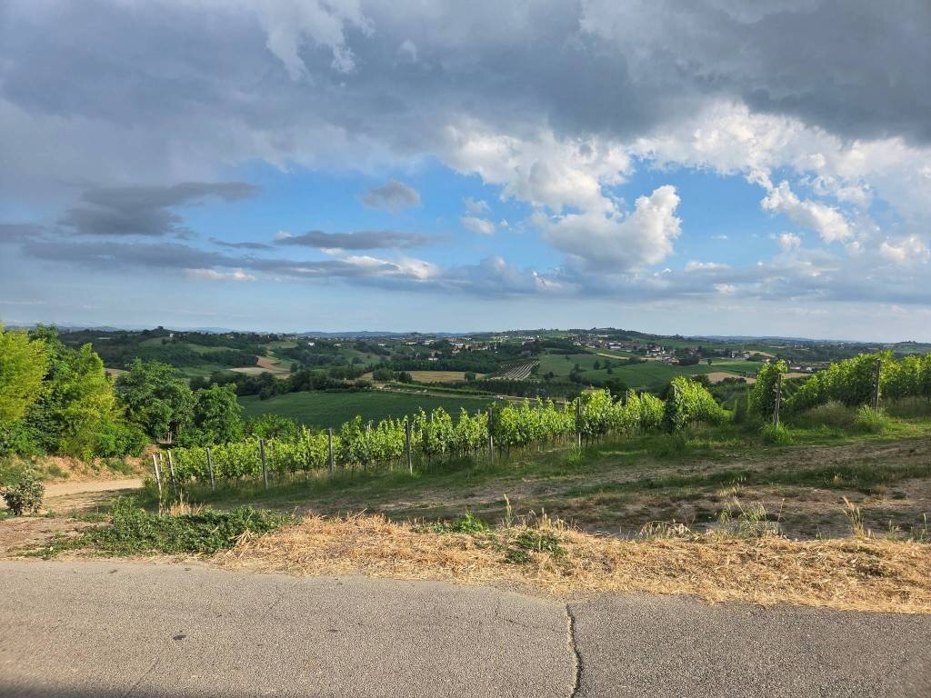 Terreno - Rustic via San Rocco, 45, Isola d'Asti - photo 3