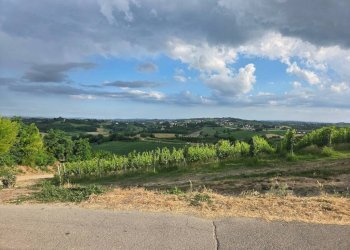 Terreno - Rustico via San Rocco, 45, Isola d'Asti - foto 3