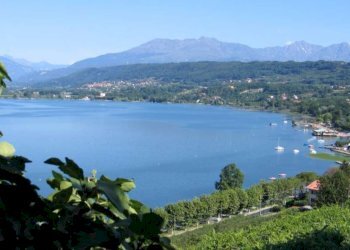 106_0625 - Other Viverone - photo 1