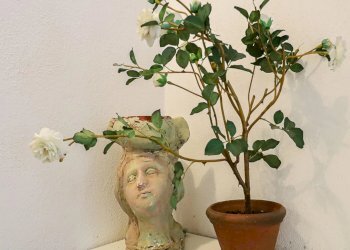 Villa Matino, Matino - photo 20