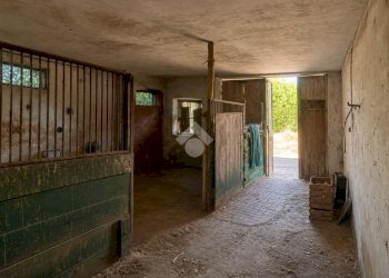 Casa semi indipendente Via G. Ferrari, Alice Castello - foto 6