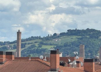 Appartamento Via Camillo Procaccini, Bologna (zona Bolognina) - foto 5