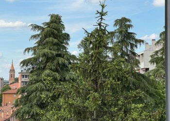 Appartamento Via Camillo Procaccini, Bologna (zona Bolognina) - foto 12