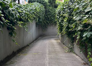 Appartamento Via Camillo Procaccini, Bologna (zona Bolognina) - foto 23