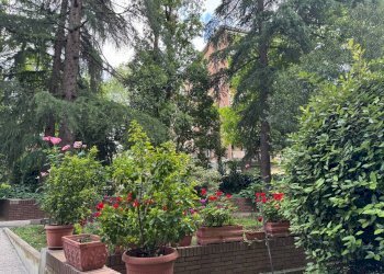 Appartamento Via Camillo Procaccini, Bologna (zona Bolognina) - foto 25